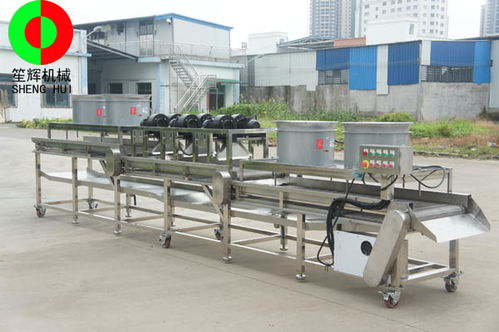 博樂砂糖橘速凍生產(chǎn)線與草石蠶生產(chǎn)線性價比及紙板復合生產(chǎn)線選購指南